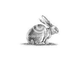 rabbit art